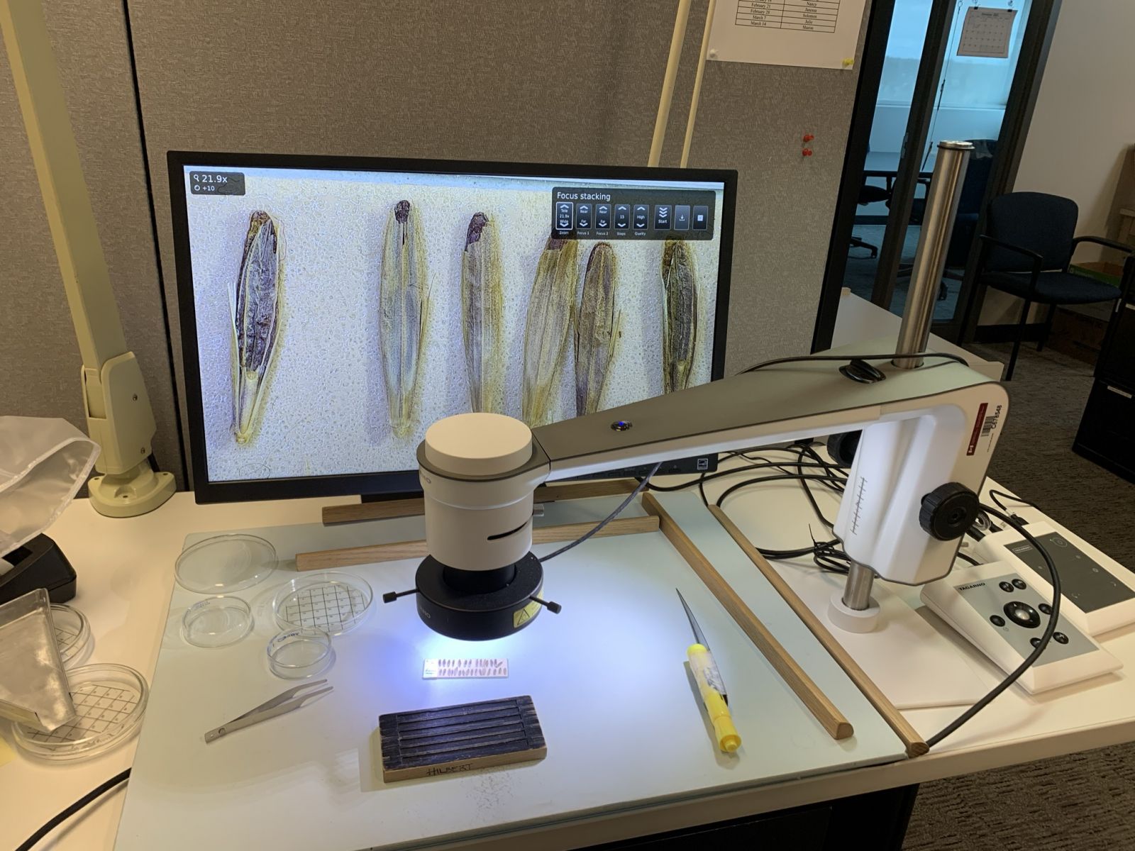 A digital microscope displays an image of the seeds beneath it on a screen behind it.